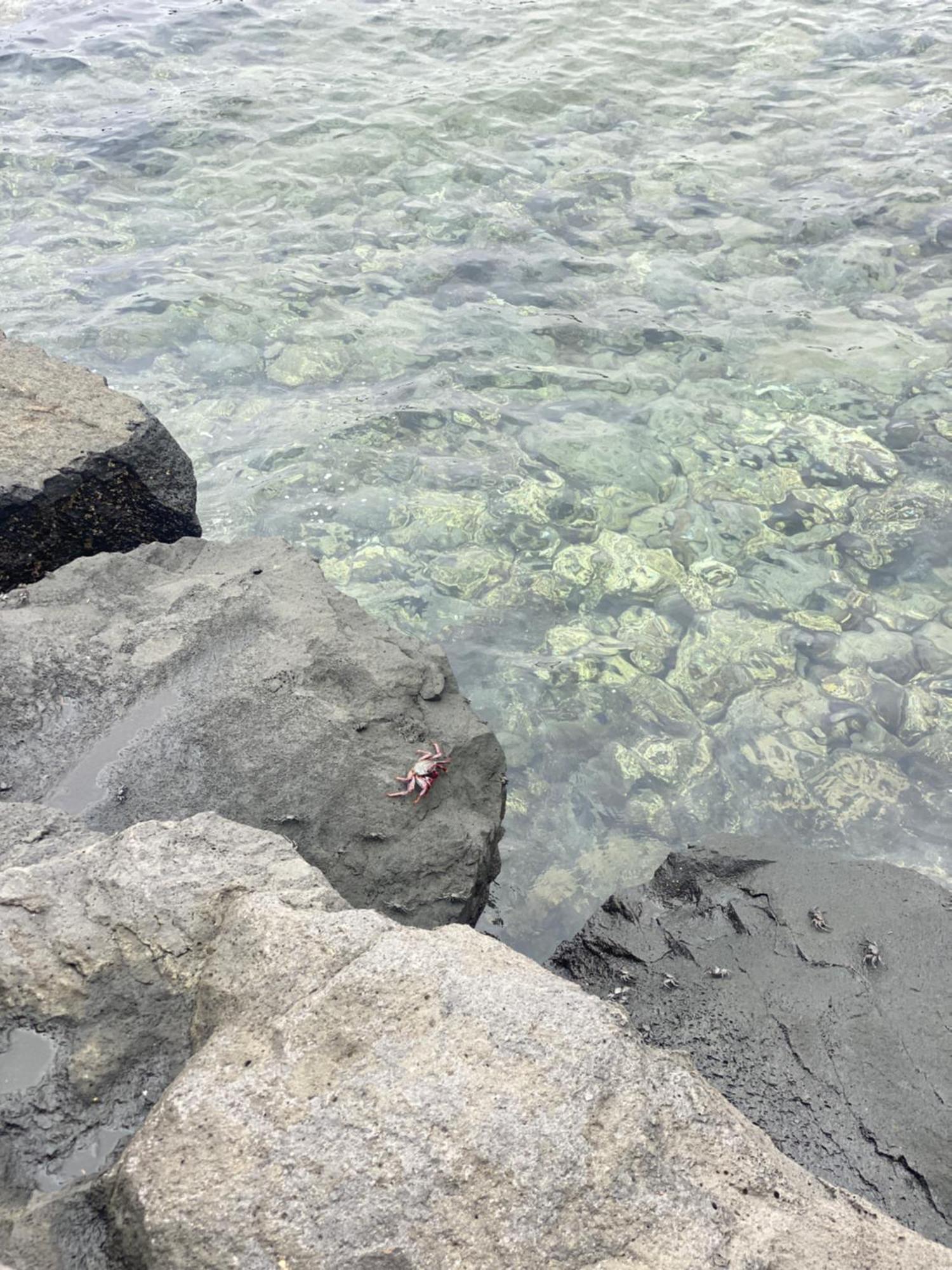 Casa Salina Lägenhet Teguise  Exteriör bild